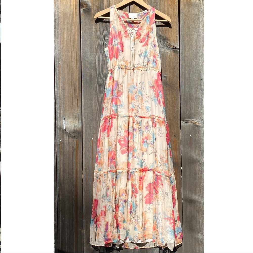 Greylin silk sleeveless maxi dress; size XSP